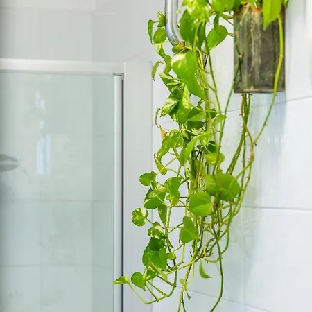 Panoramic Penthouse In By Wonderful Italy *