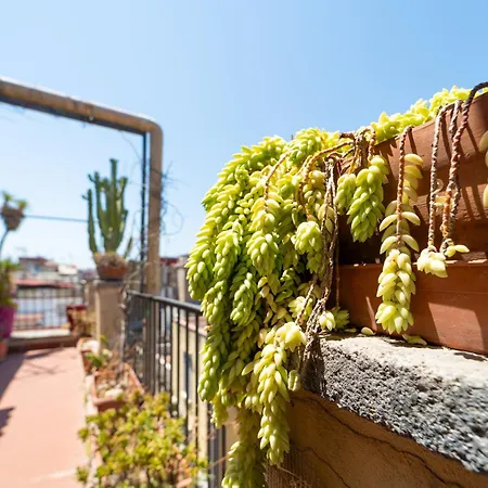 Panoramic Penthouse In By Wonderful Italy Apartment Naples