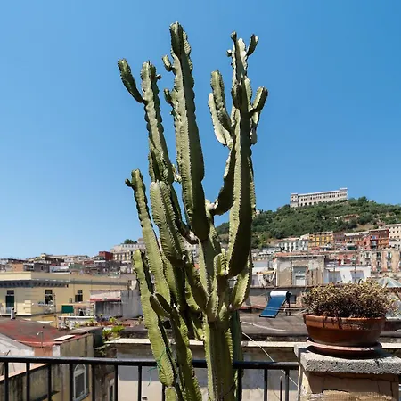 Panoramic Penthouse In By Wonderful Italy *